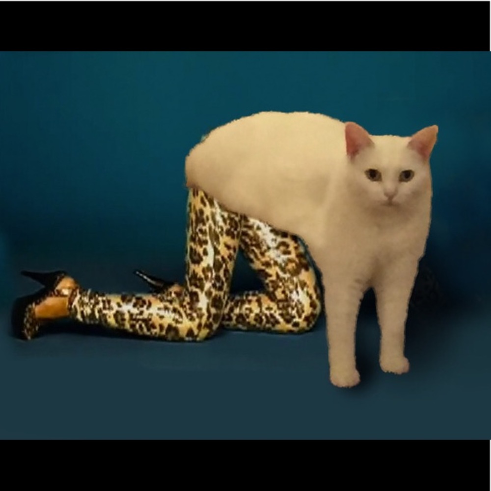 Meet your Posher, Alexxa